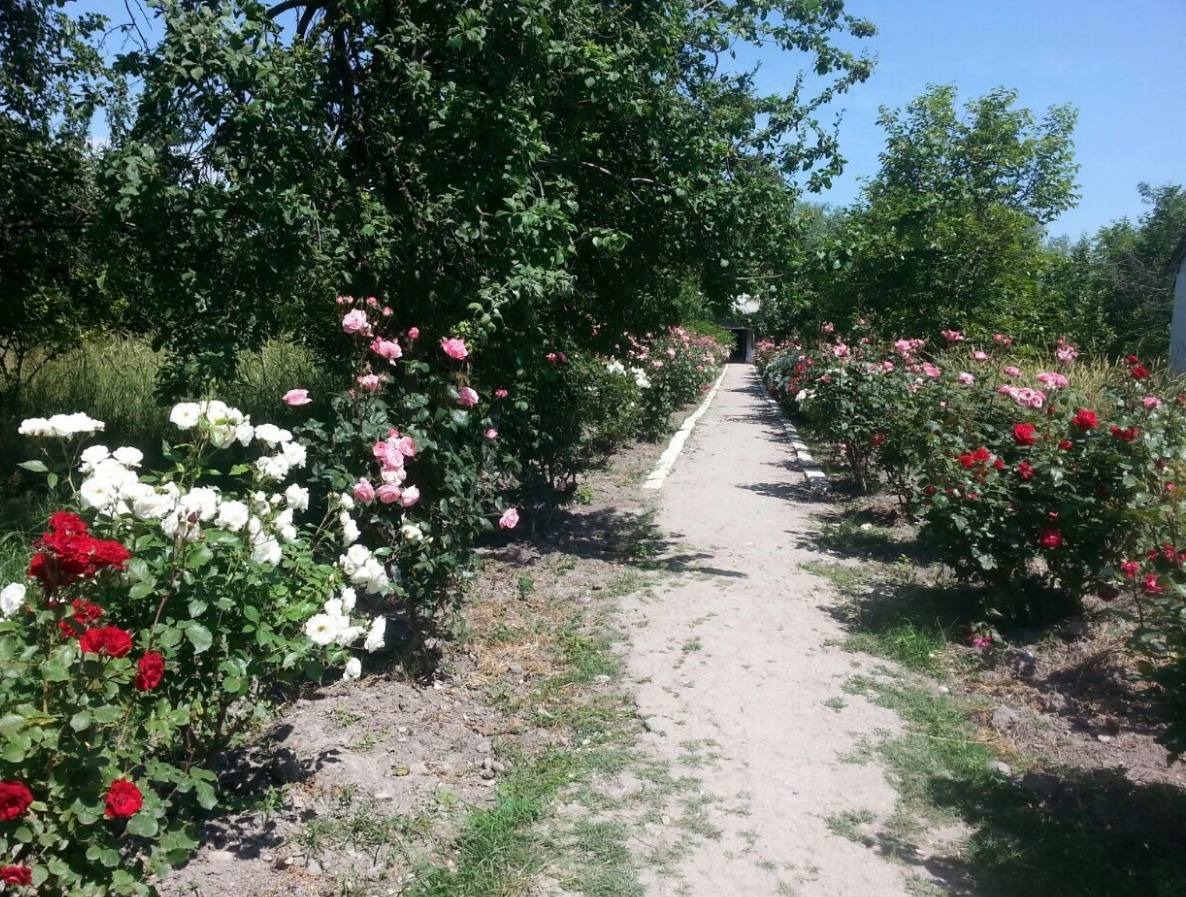 Şabran rayonu Padar kənd tam orta məktəbi